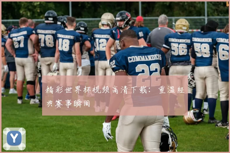 精彩世界杯视频高清下载:重温经典赛事瞬间