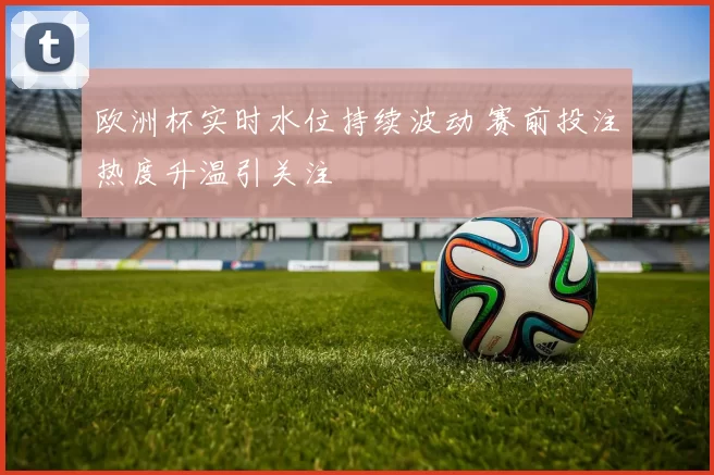 欧洲杯实时水位持续波动 赛前投注热度升温引关注