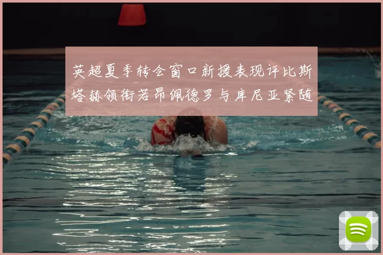 英超夏季转会窗口新援表现评比斯塔赫领衔若昂佩德罗与库尼亚紧随其后