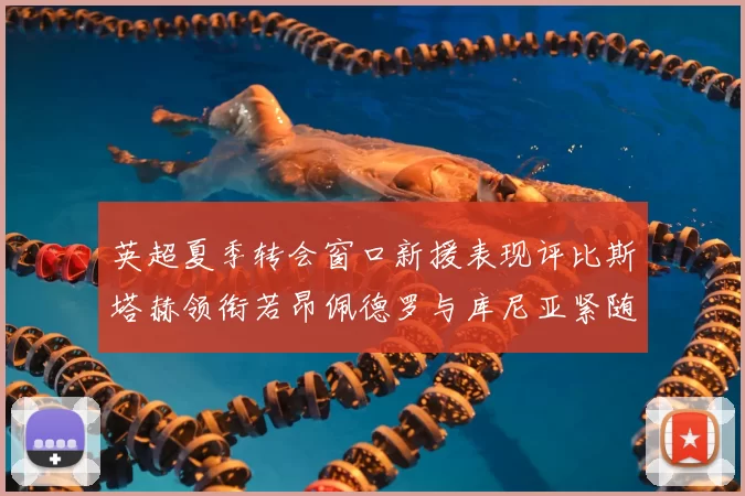 英超夏季转会窗口新援表现评比斯塔赫领衔若昂佩德罗与库尼亚紧随其后
