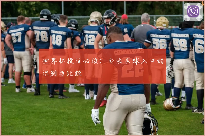 世界杯投注必读:合法买球入口的识别与比较